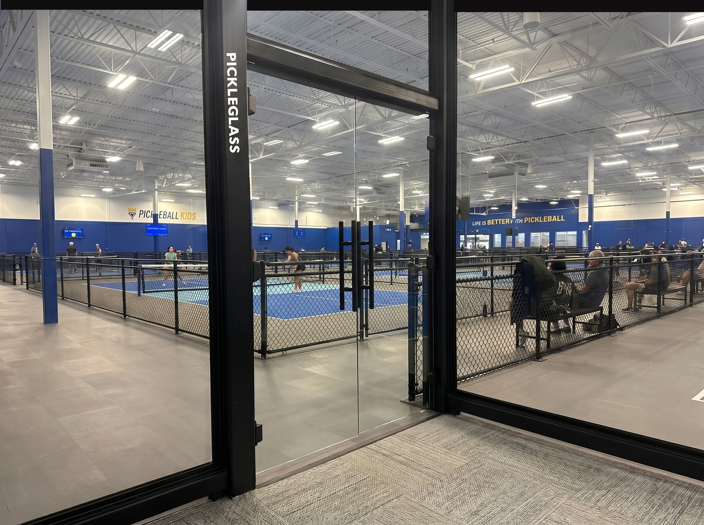 Pickleball kingdom Pickleglass